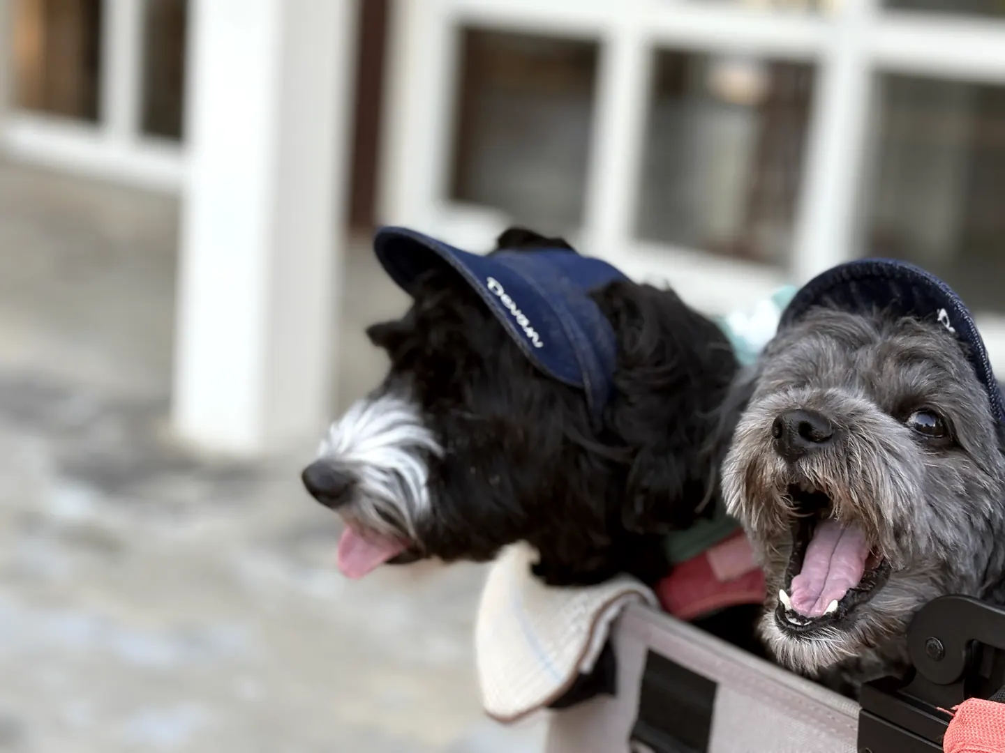 Past Event Reports 2