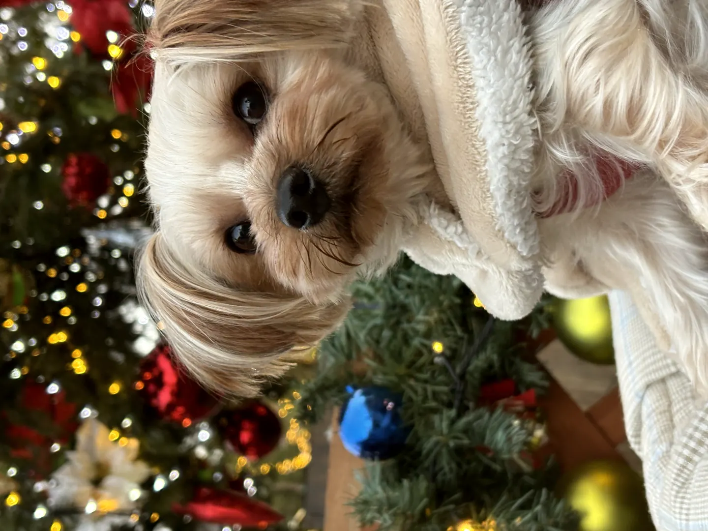 Past Event Reports 3