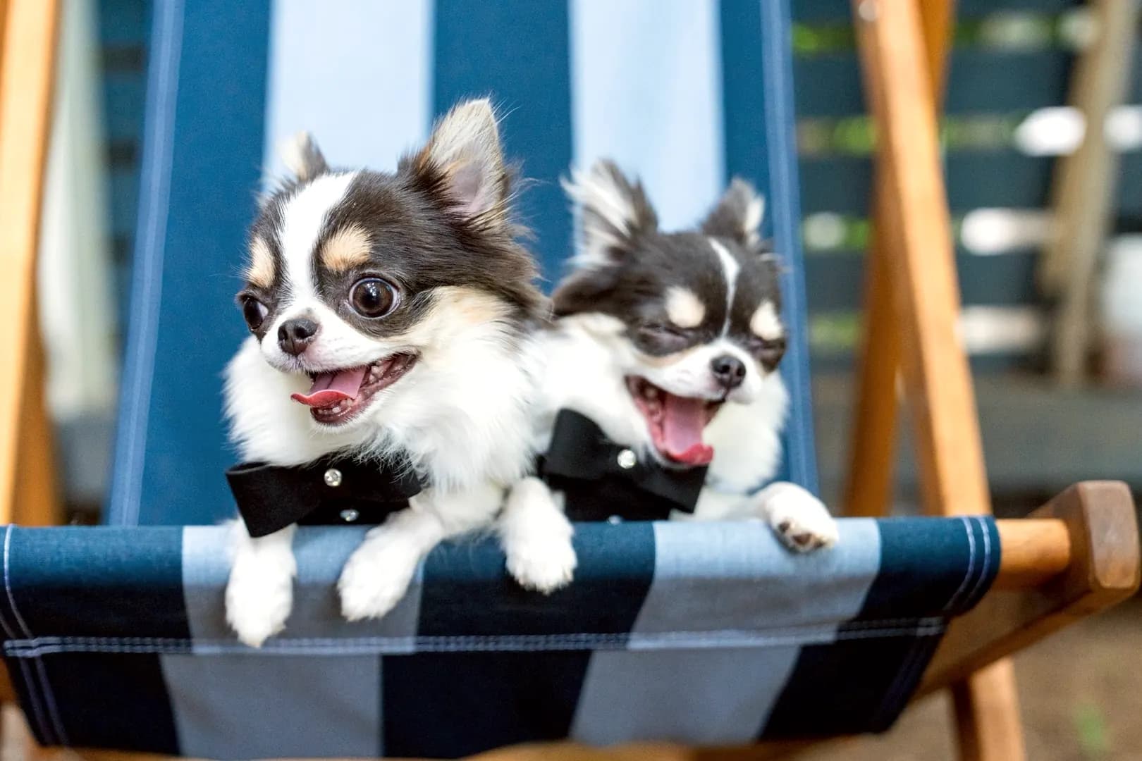 イベントヒーロー背景