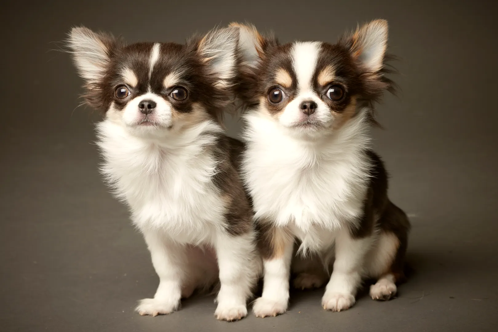 暮らしのプラン