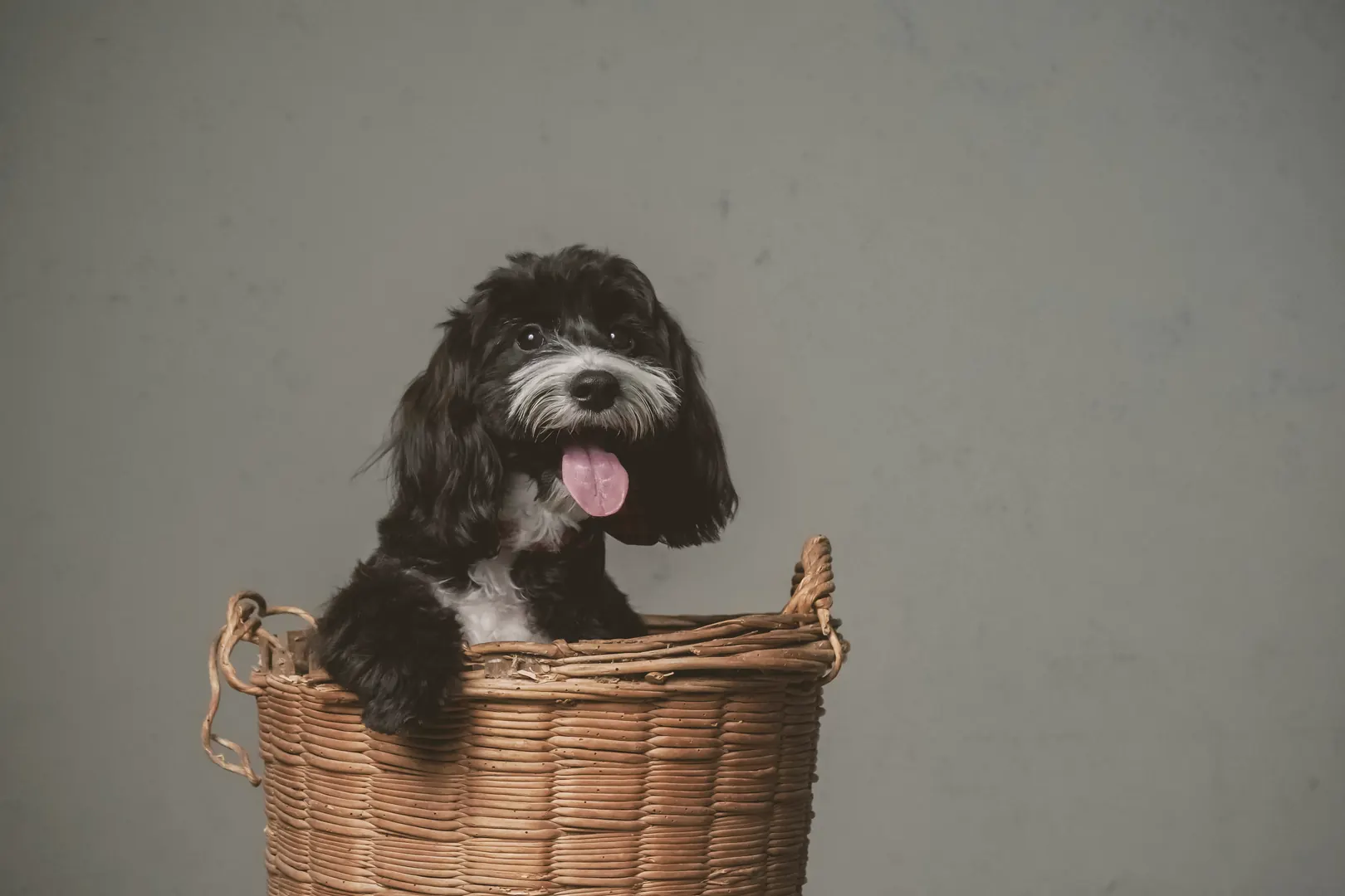 Past Event Reports 4