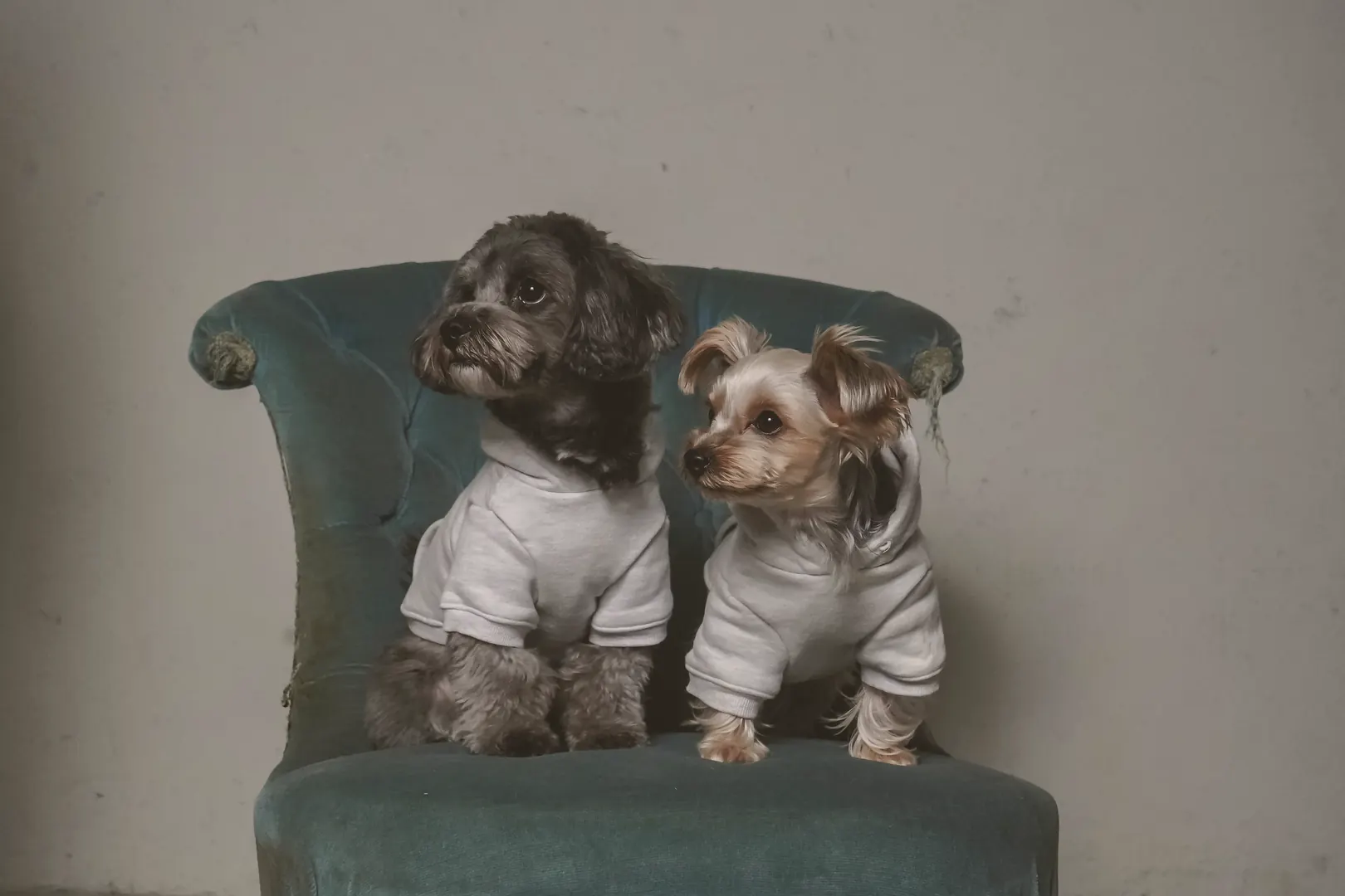 Past Event Reports 5