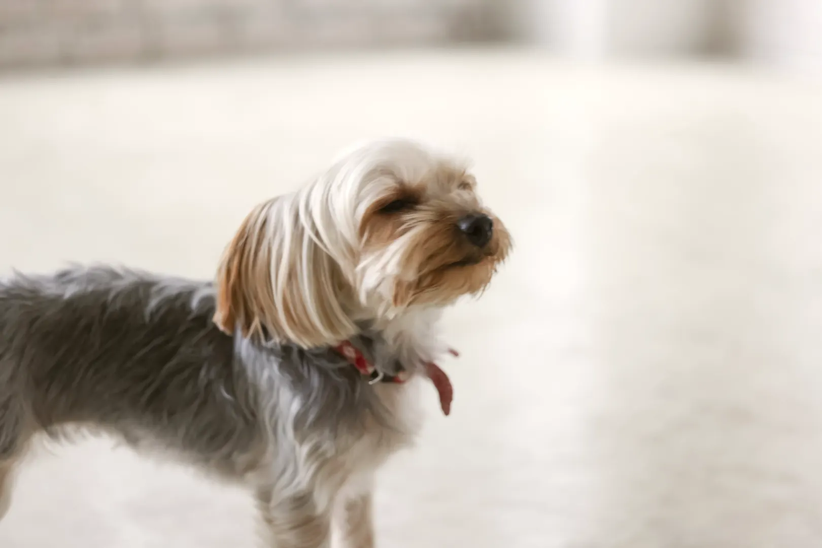 Past Event Reports 6